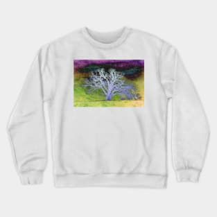 Lenten Moon Crewneck Sweatshirt